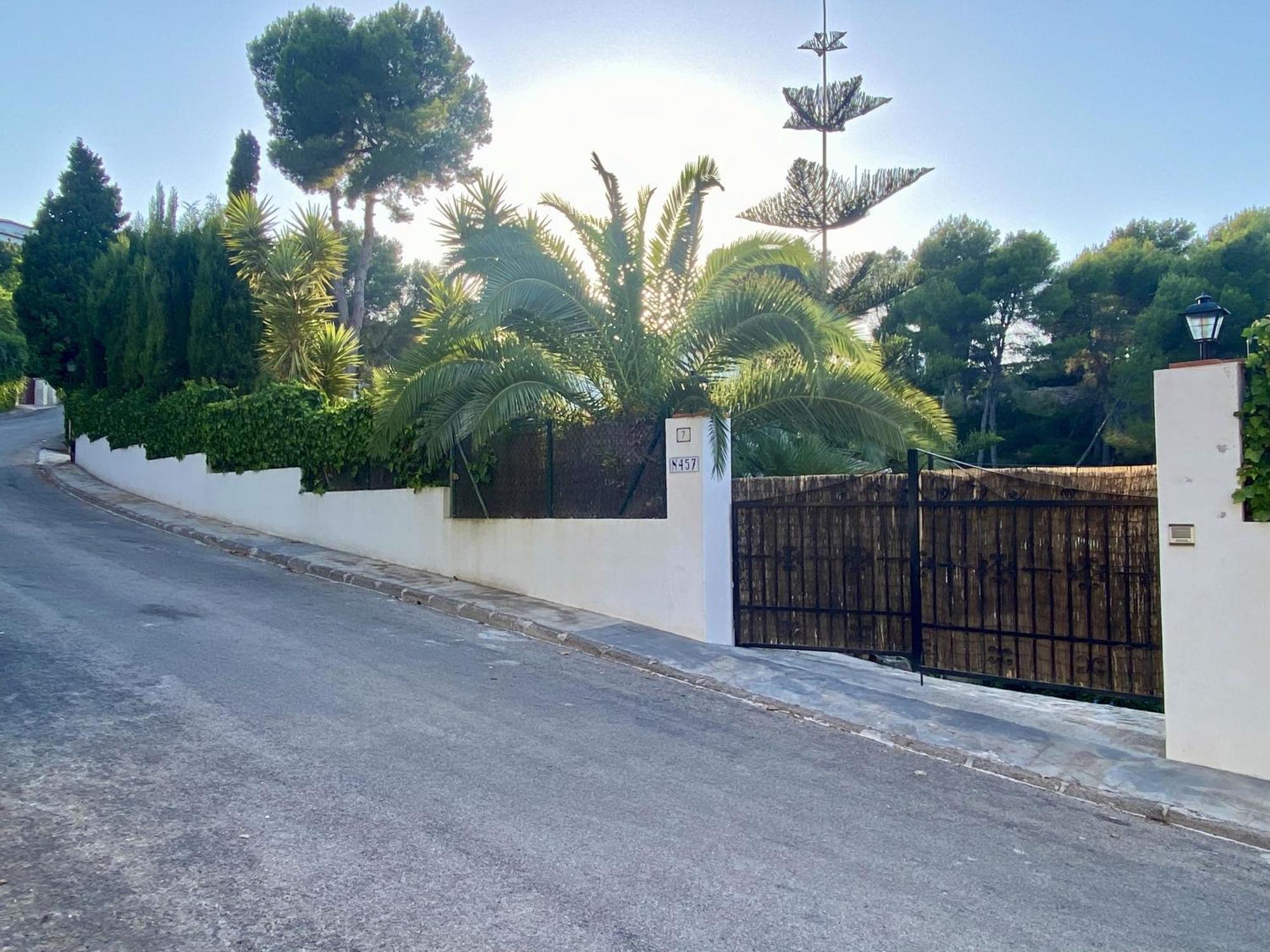Jávea Palmera מראה חיצוני תמונה