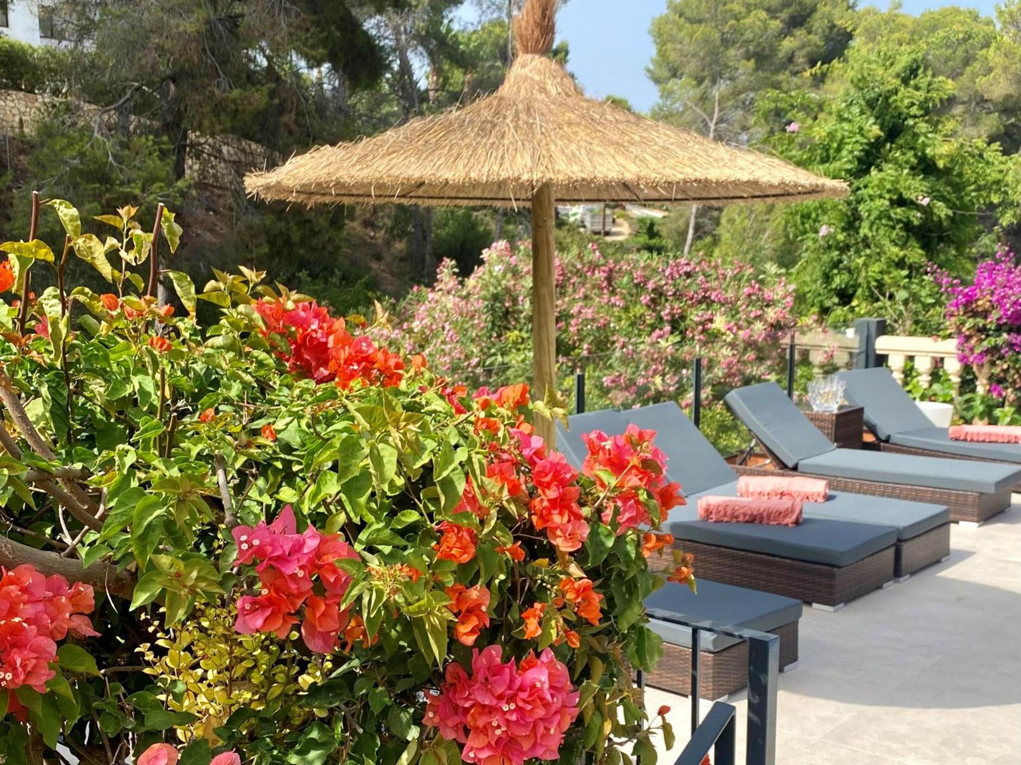 Jávea Palmera מראה חיצוני תמונה