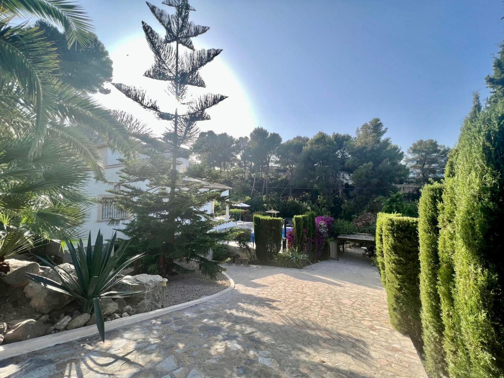 Jávea Palmera מראה חיצוני תמונה